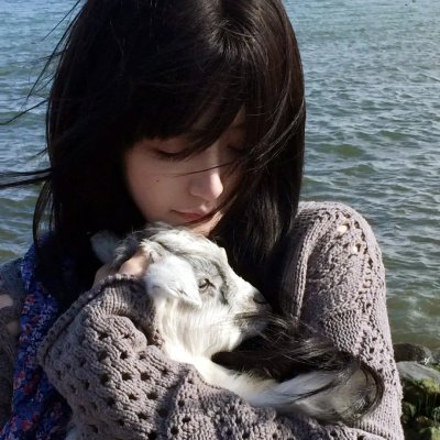 恶之华 海报